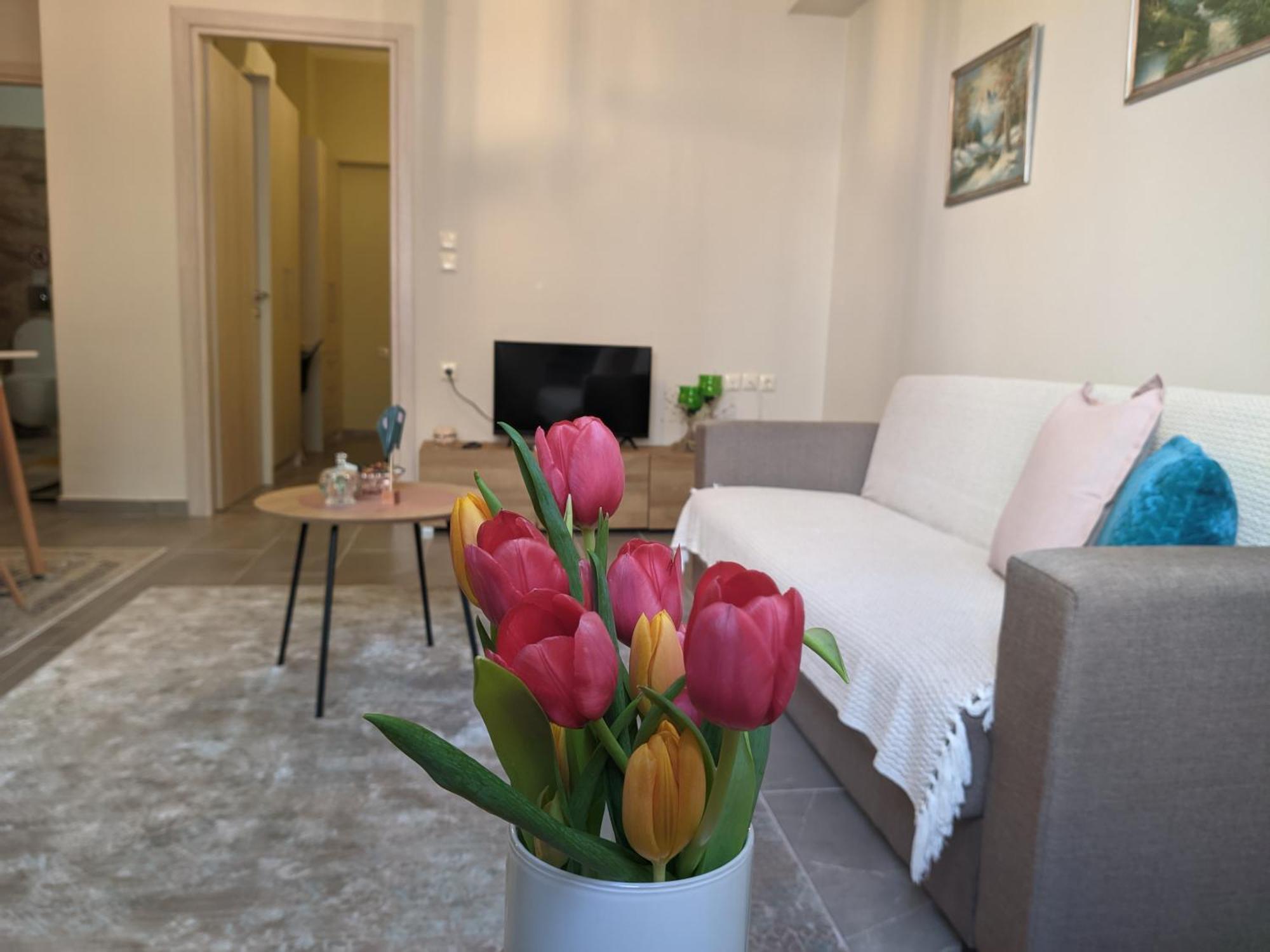 Aristo Central Apartments Giannina Esterno foto
